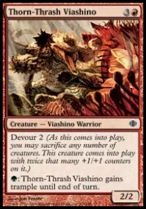 Thorn-Thrash Viashino