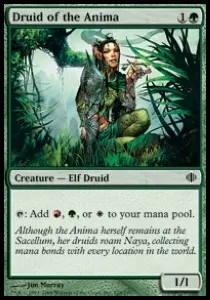 Druid of the Anima