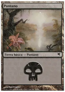 Swamp