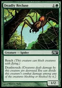 Deadly Recluse