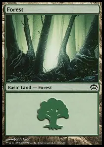 Forest