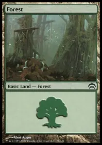 Forest