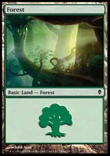 Forest