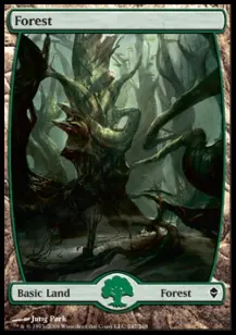Forest