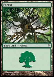Forest