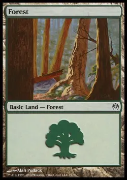 Forest