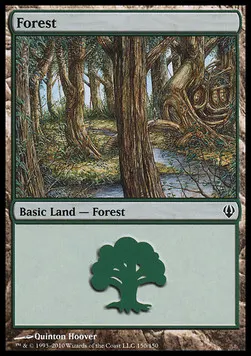 Forest