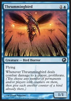 Thrummingbird