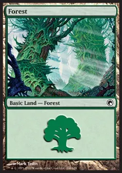 Forest