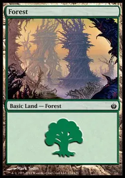 Forest