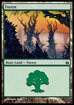 Forest