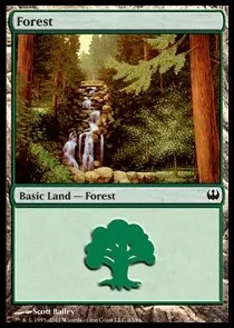 Forest