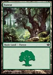 Forest
