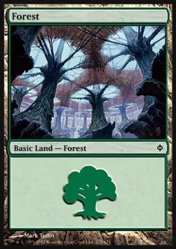 Forest