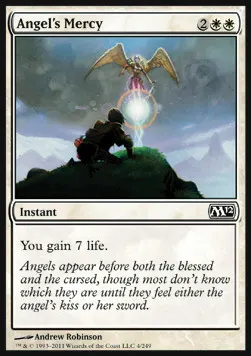 Angel's Mercy
