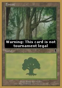 Forest