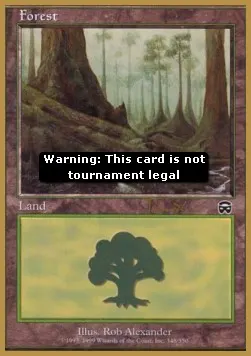 Forest