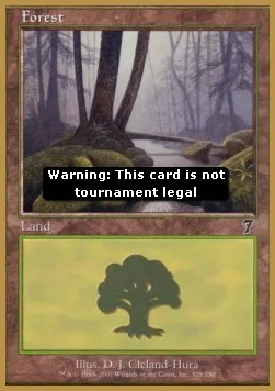 Forest