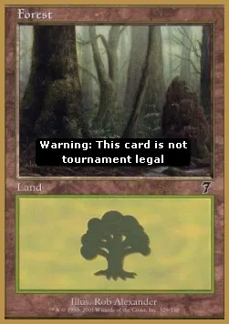 Forest