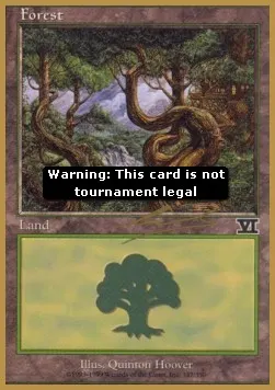 Forest