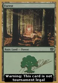 Forest