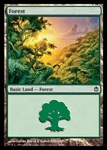 Forest