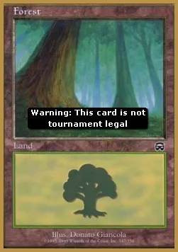 Forest