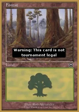 Forest