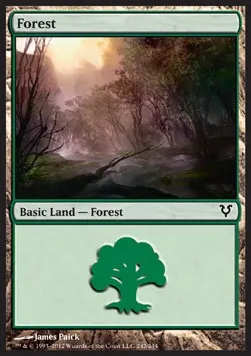 Forest
