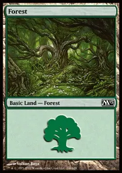 Forest