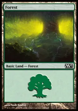 Forest