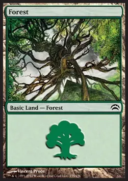 Forest