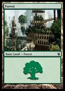 Forest