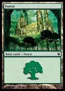 Forest