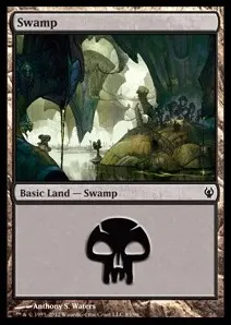 Swamp