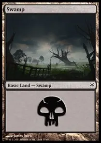Swamp