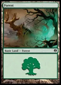 Forest