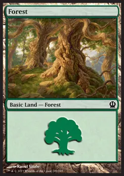 Forest