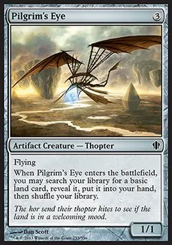 Pilgrim's Eye