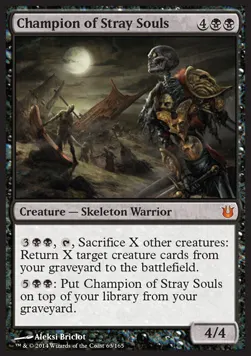 Champion of Stray Souls