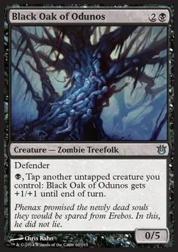 Black Oak of Odunos