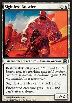 Sightless Brawler