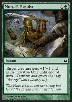 Mortal's Resolve