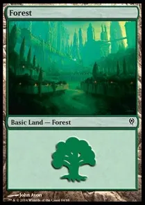 Forest