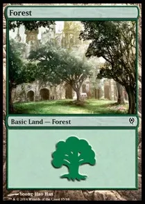 Forest