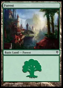 Forest
