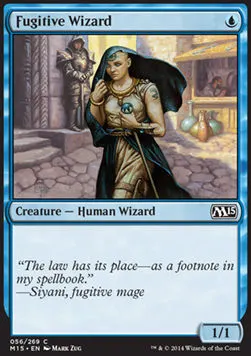 Fugitive Wizard