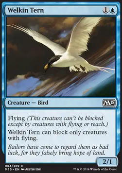 Welkin Tern