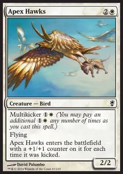 Apex Hawks