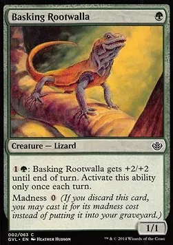 Basking Rootwalla